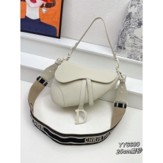 Dior Saddle Bags